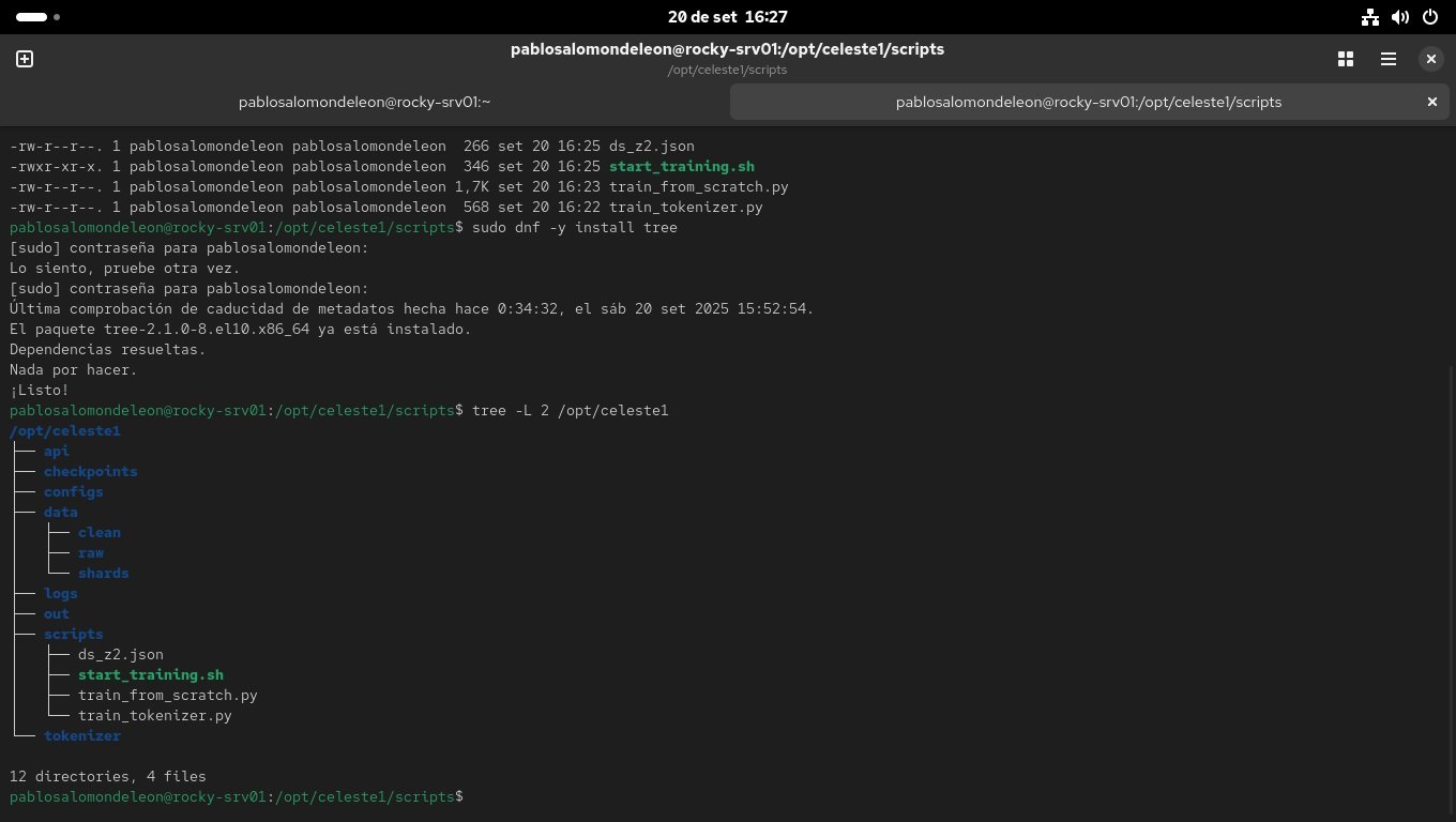 Hito #02: Estructura del proyecto