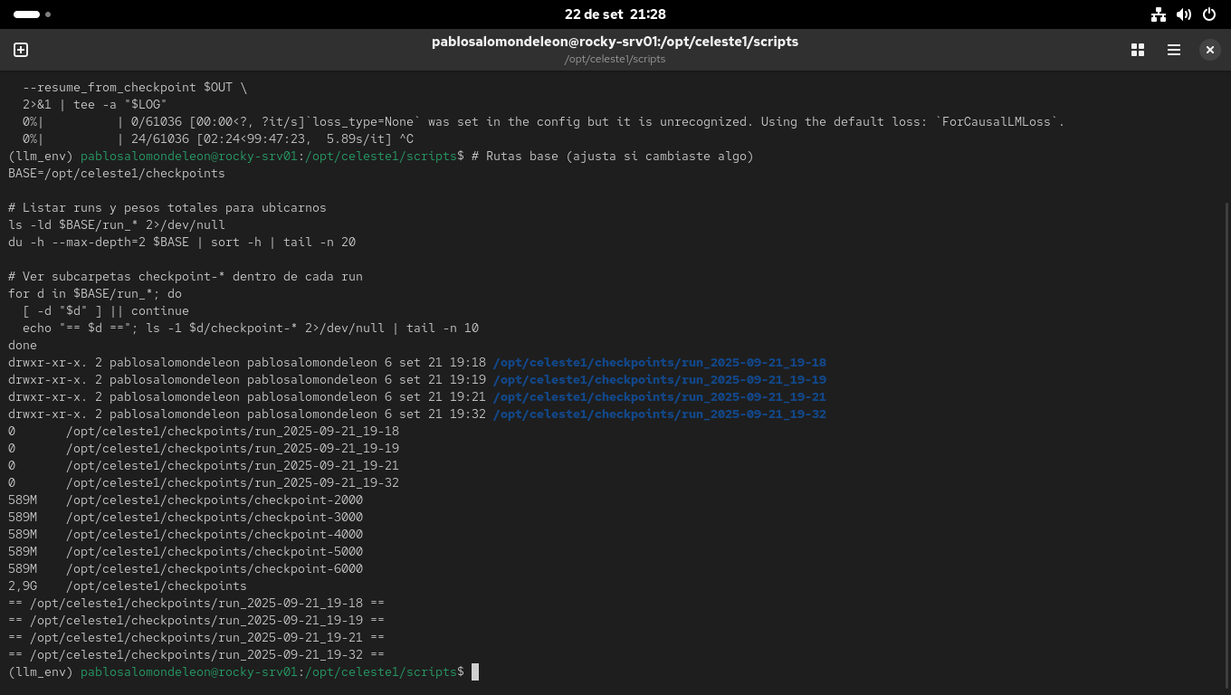 Hito #05: Tuning intermedio
