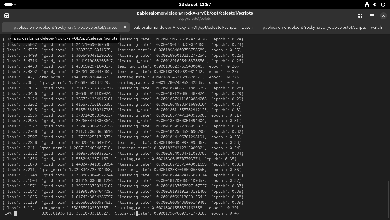 Hito #08: Demo local funcional