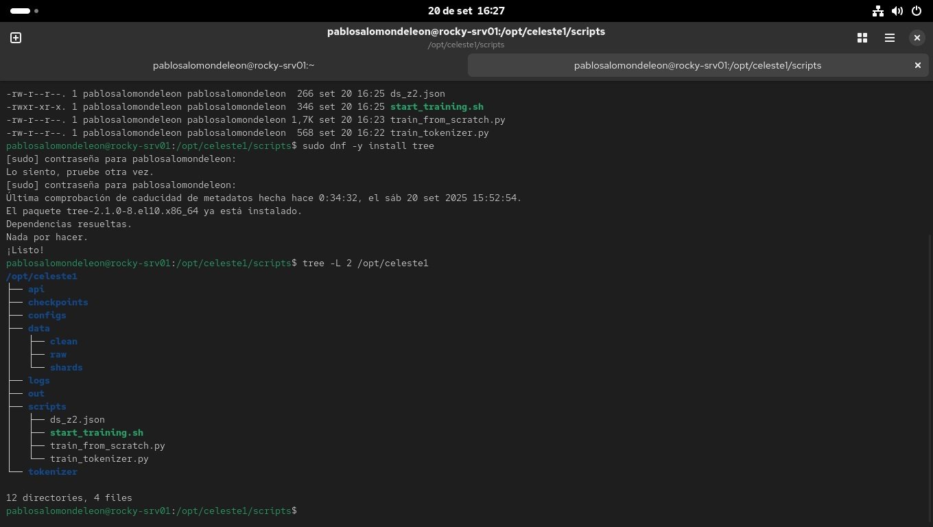 Estructura del proyecto